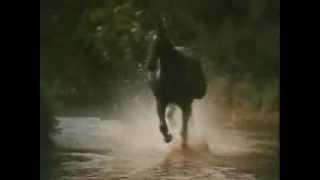 Black Beauty Theme Galloping Home - Denis King 1972