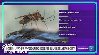 Mosquito-borne disease buzzing around Polk County