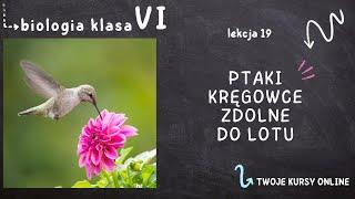 Biologia klasa 6 Lekcja 19 - Ptaki - kręgowce zdolne do lotu