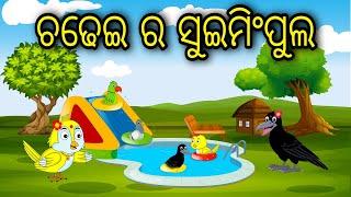 Chadhei Ra Swimming pool  Odia Cartoon Odia Bird Stories Odia Chadhei Gapa Odia Moral Story