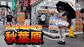 【４Ｋ60】walk in Akihabara【秋葉原をお散歩】2024年7月26日