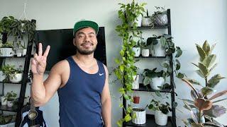 Plant Shelf Tour + Houseplant Q&A Live
