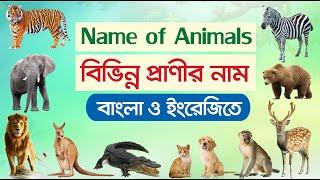 বিভিন্ন প্রাণীর নাম  Animals Name in Bengali to English  ৫৫টি পশু-প্রাণীর নাম  55 Animals Name
