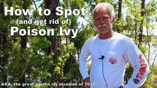 How to Spotand get rid ofPoison Ivy