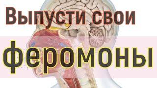 Выпусти свои феромоны