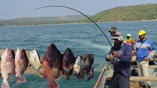 Amazing Sea Fishing On Bait Fishing  मरी हुवी मछली से करे मछली का शिकार?