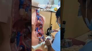 GNM paratical in lab but first time in lab gona wrong  whatsapp status#gnm #anm #nursing