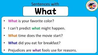 Sentences with What What in a Sentence Example Sentences about What #sentences #learningenglish