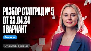 Разбор СтатГрад № 5 от 22.04.24 1 вариант  ЕГЭ по биологии  Ксения Напольская 100балльный