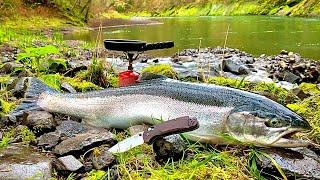 GIANT TROUT FISHING in PRISTINE WATERS Steelhead Catch & Cook