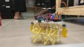 Remote Control Steerable Strandbeest