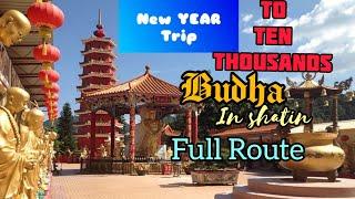 NEW YEAR TRIP‼️TEN THOUSAND BUDHA IN SHATIN FULL ROUTE