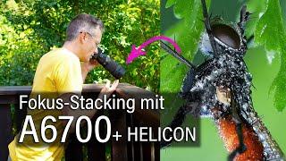 Fokus Bracketing Anleitung mit Sony A6700  Fokus Stacking