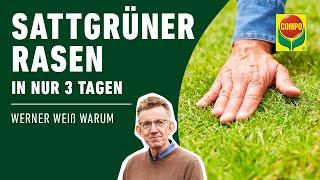 Flüssigdünger mit Expresswirkung – sattgrüner Rasen in nur 3 Tagen mit COMPO