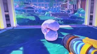 How to get the Ringtail Slime in Slime Rancher Two RaccoonTanuki slime￼￼