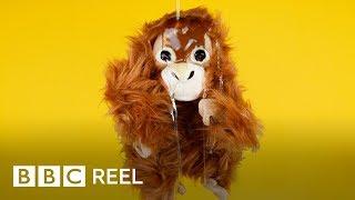 The deadly food we all eat - BBC REEL