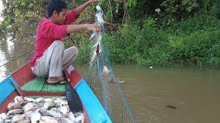 PANEN IKAN TAWES & TENGADAK