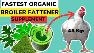 FASTEST ORGANIC BROILER FATTENER SUPPLEMENT  Fattening Broilers Has Never Been This Easy.