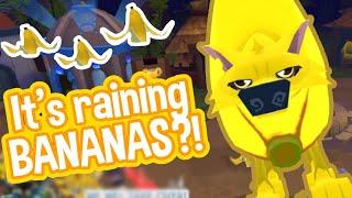 It’s raining BANANAS? Animal Jam April Fools chaos…