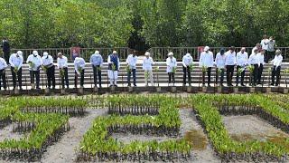 PM Modi and other G20 leaders visit Mangrove forest in Indonesia