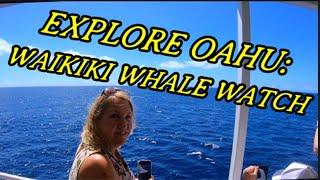 Explore Oahu Waikiki Whale Watch