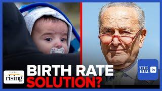 AMNESTY For Undocumented Immigrants Is The Solution To US BIRTH RATE DECLINE Chuck Schumer