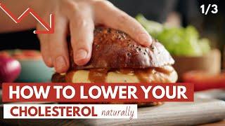 How To Lower your Cholesterol  Healthy Aging 13