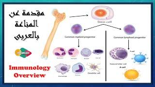 Immunity overview  المناعة بالعربى .. من هو الجهاز المناعى - الخلايا المناعية - طرق المناعة ؟