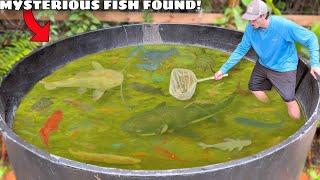 I Found Mysterious Fish LIVING in ABANDONED POND