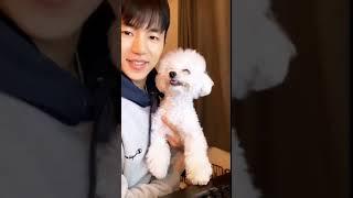 181201 - Insoo Insta Live Feat. Natto and Bento