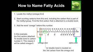 Learn How to Name Fatty Acids Omega 3 Omega 6 etc