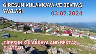 Giresun Kulakkaya ve Bektaş Yaylası Giresun Kulakkaya And Bektaş Plateau #bektaş #kulakkaya #travel