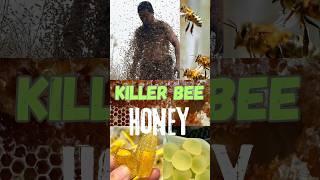 killer Bee #dailyvlog #facts #shorts  #killerattitudestatus #bee #southafrica