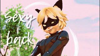  MV  • Miraculous Ladybug • Cat Noir - Sexy back