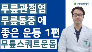 무릎관절염 무릎통증 환자는 이 운동을 반드시 매일 수시로 해주시는 것이 좋습니다 - 무릎 스쿼트 운동