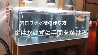 アロワナ動画⑥総額10万円   アロワナ飼育に必要な設備投資  アロワナはいくら払えば買う準備が整うのか