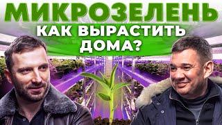 Как открыть ферму микрозелени? Кому продать урожай? Ситиферма на гидропонике  Андрей Даниленко