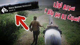 لول آپ سریع اسب در Red Dead Redemption 2 راهنمای جامع