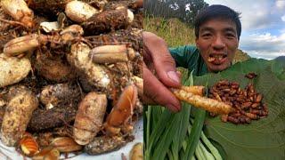 Find cook and eating beetle larvae Naga boyjungle infinity