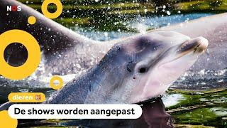 Dolfinarium laat dolfijnen en walrussen geen kunstjes meer doen