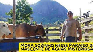 ELE MORA SOZINHO NESSE SÍTIO MISTÉRIO DAS NASCENTE DE ÁGUAS NA GRUTA 