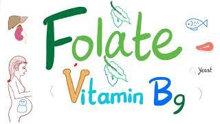 Vitamin B9 Folate  - Folic - Structure Function Folate Deficiency Anemia Diagnosis & Treatment