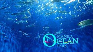 MANILA OCEAN PARK