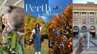 PERTH TRAVEL VLOG   7 days in Perth Australia things to do popular attractions ️