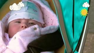 FULL HD CUTE BABY STATUS VIDEOBEST CUTE BABIES WHATSAPP STATUS