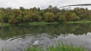 Ловля щуки на воблеры с берега в сентябре. Осенний твичинг.