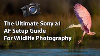 The Ultimate Sony a1 AF Setup Guide For Wildlife Photography