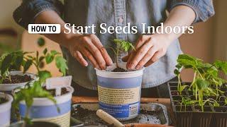 Sowing Hope for Tomorrow｜Start Seeds Indoors for Balcony Garden｜Beginner Gardening｜Garden VLOG