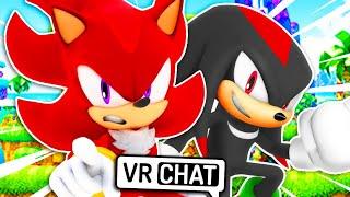 Shadow & Knuckles Switch Bodies? VR Chat