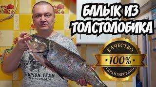 Балык из толстолобика. Простой и вкусный рецепт.